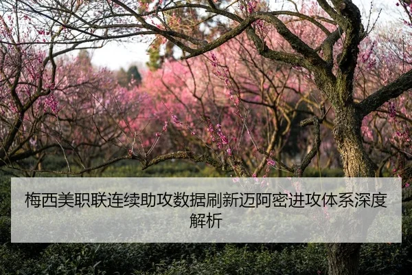 梅西美职联连续助攻数据刷新迈阿密进攻体系深度解析